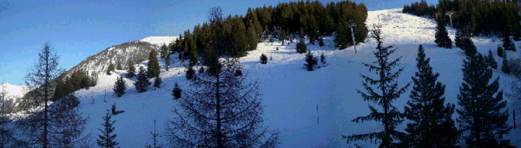 courchevel1650029003.gif